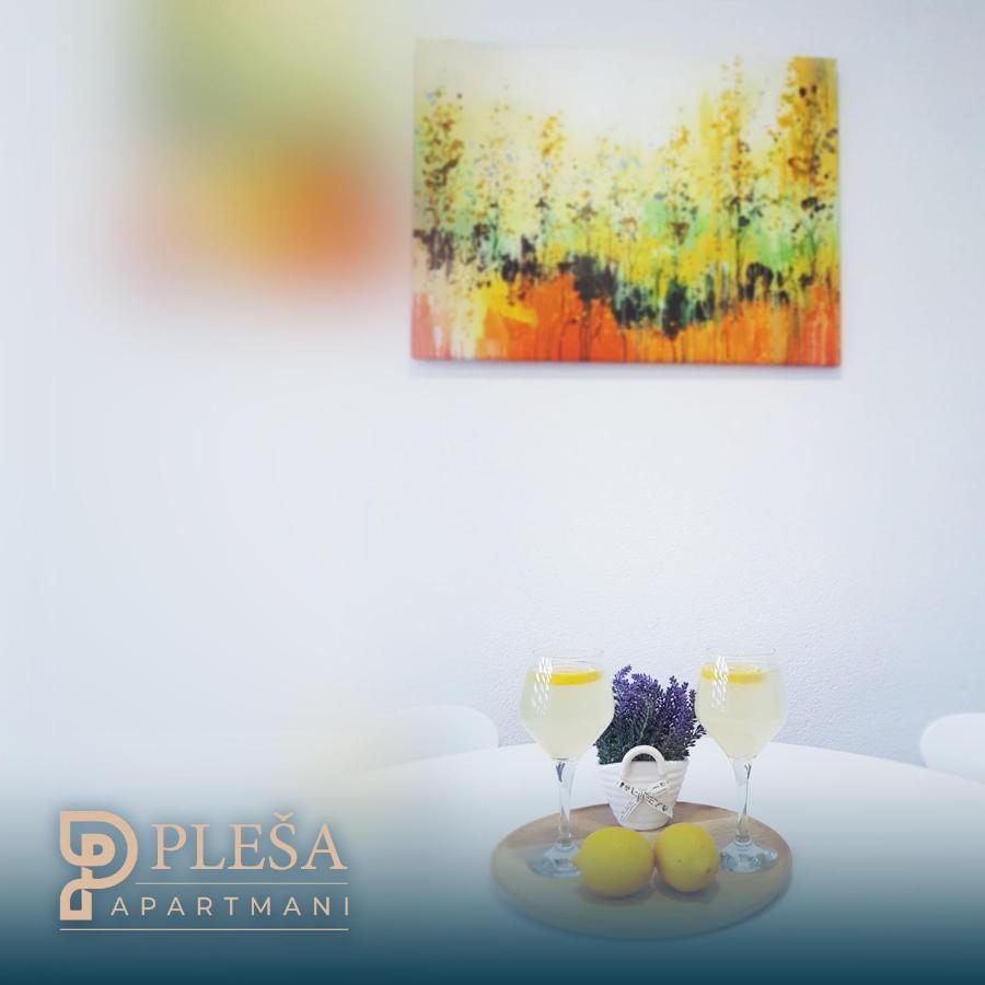 Apartment Plesa Bihać Eksteriør billede